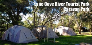 17.Lane-Cove-River-Tourist-Park-_E2_80_93-Caravan-