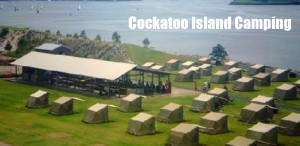 Cockatoo Island Camping